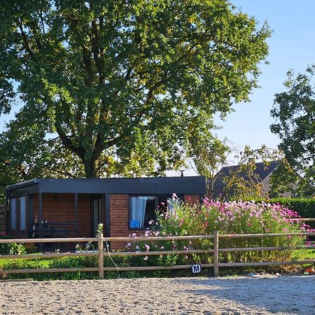 Houten Huisje Tussen Paarden Nieuwerkerken Exteriör bild