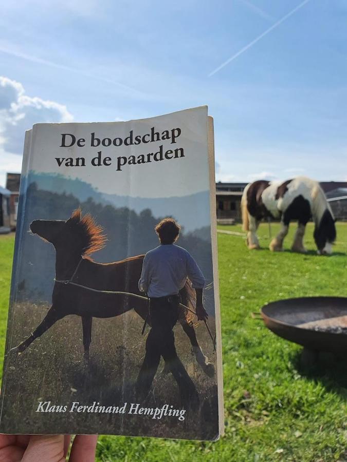 Houten Huisje Tussen Paarden Nieuwerkerken Exteriör bild