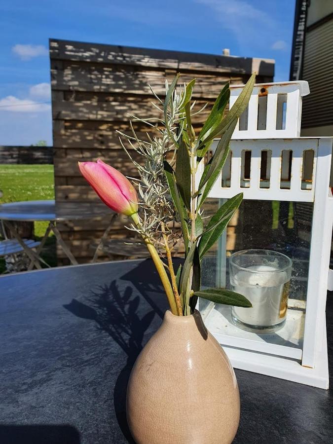 Houten Huisje Tussen Paarden Nieuwerkerken Exteriör bild
