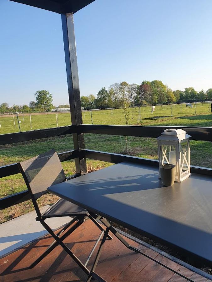 Houten Huisje Tussen Paarden Nieuwerkerken Exteriör bild