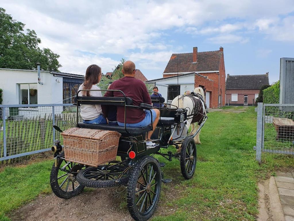 Houten Huisje Tussen Paarden Nieuwerkerken Exteriör bild