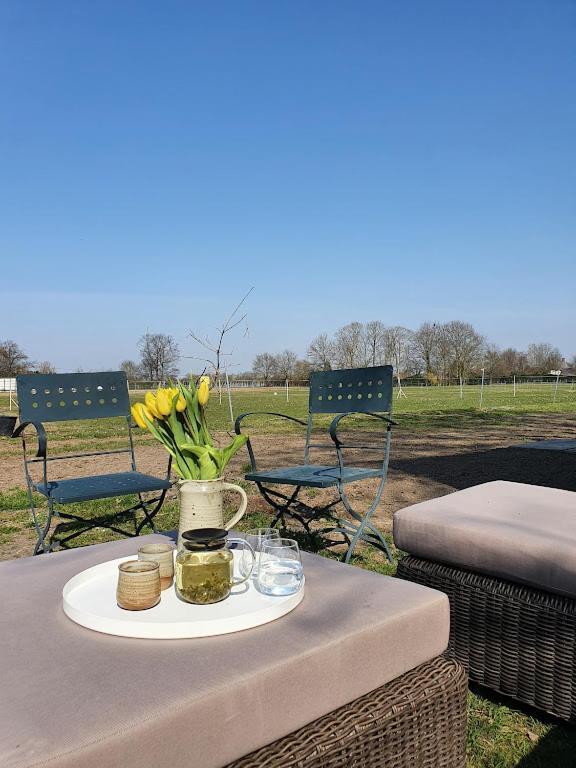 Houten Huisje Tussen Paarden Nieuwerkerken Exteriör bild
