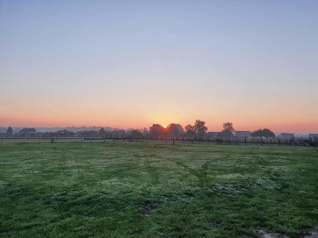 Houten Huisje Tussen Paarden Nieuwerkerken Exteriör bild