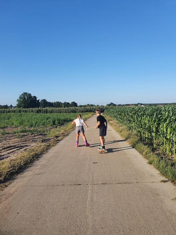 Houten Huisje Tussen Paarden Nieuwerkerken Exteriör bild