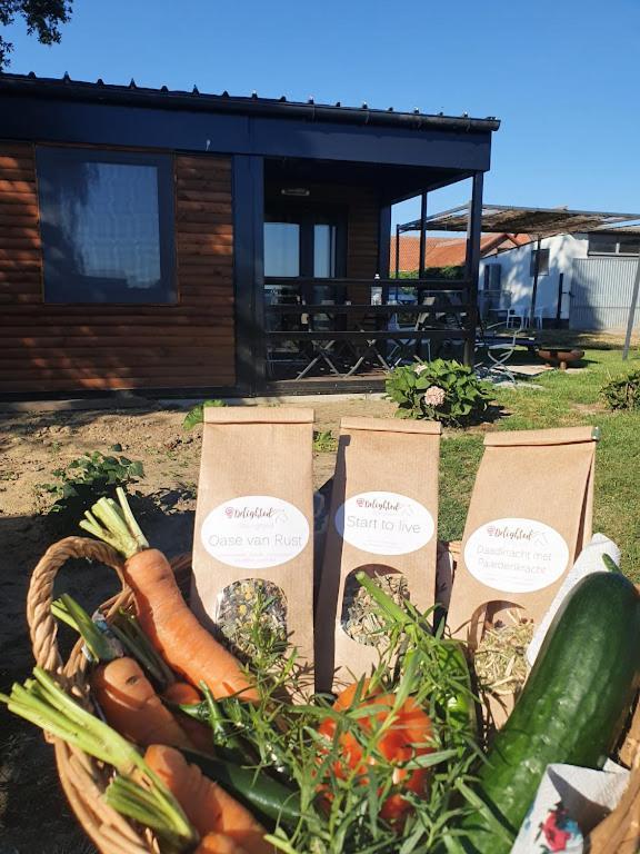 Houten Huisje Tussen Paarden Nieuwerkerken Exteriör bild