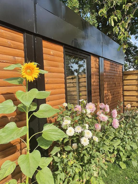 Houten Huisje Tussen Paarden Nieuwerkerken Exteriör bild