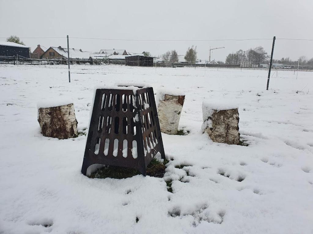 Houten Huisje Tussen Paarden Nieuwerkerken Exteriör bild