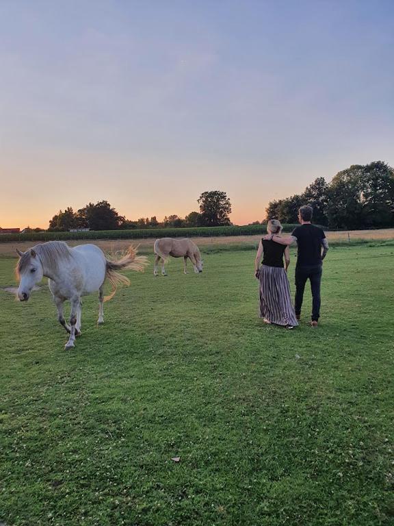 Houten Huisje Tussen Paarden Nieuwerkerken Exteriör bild