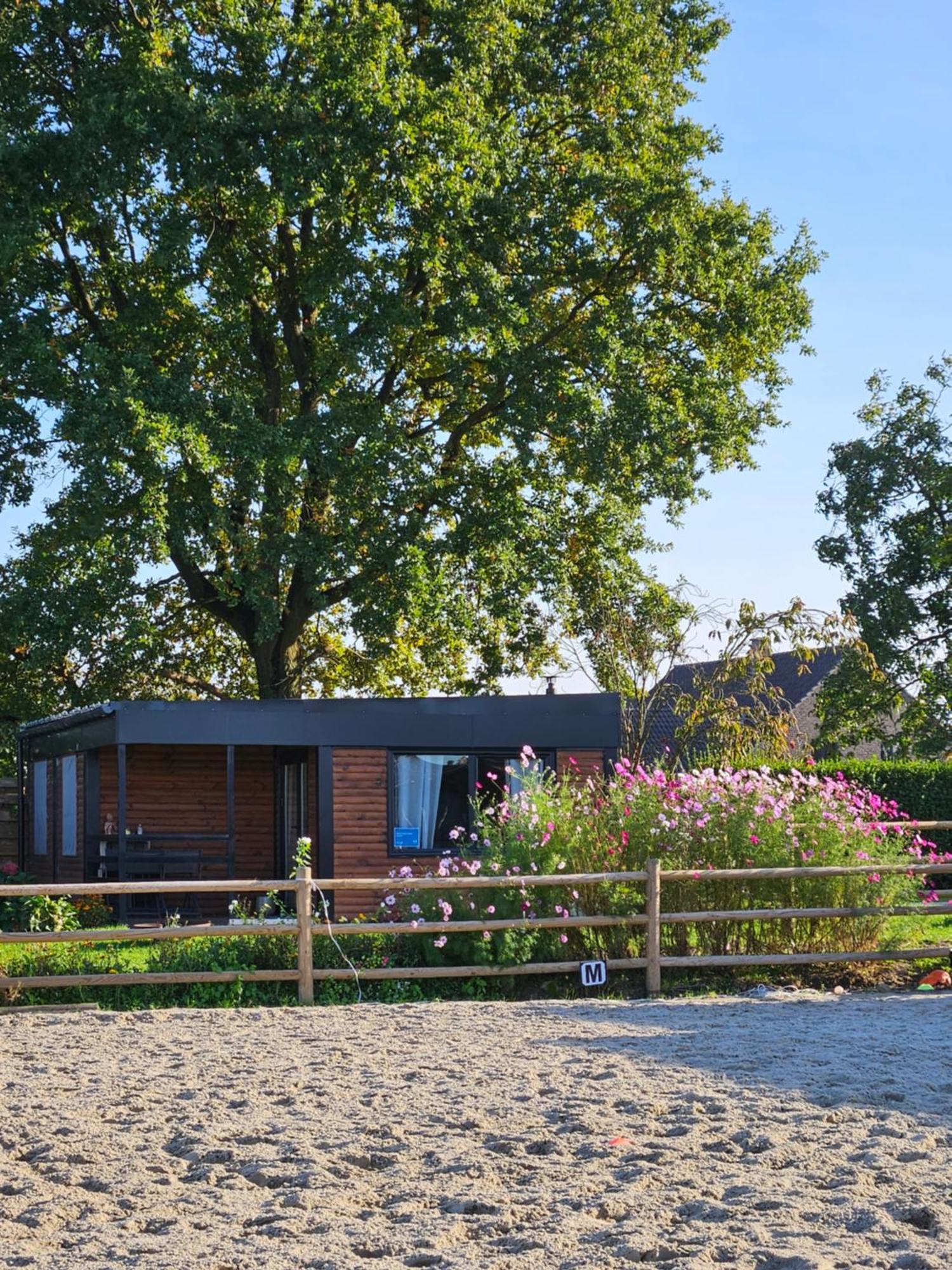 Houten Huisje Tussen Paarden Nieuwerkerken Exteriör bild